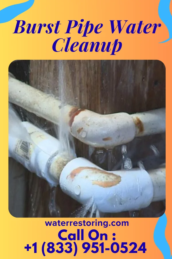 Burst Pipe Water Cleanup in Amity, OR