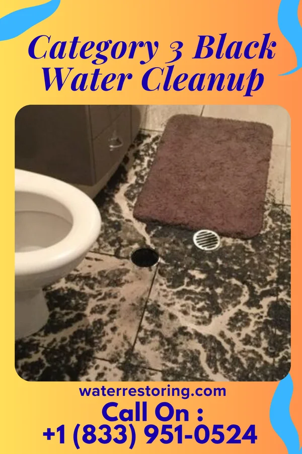 Category 3 Black Water Cleanup in Amity, OR